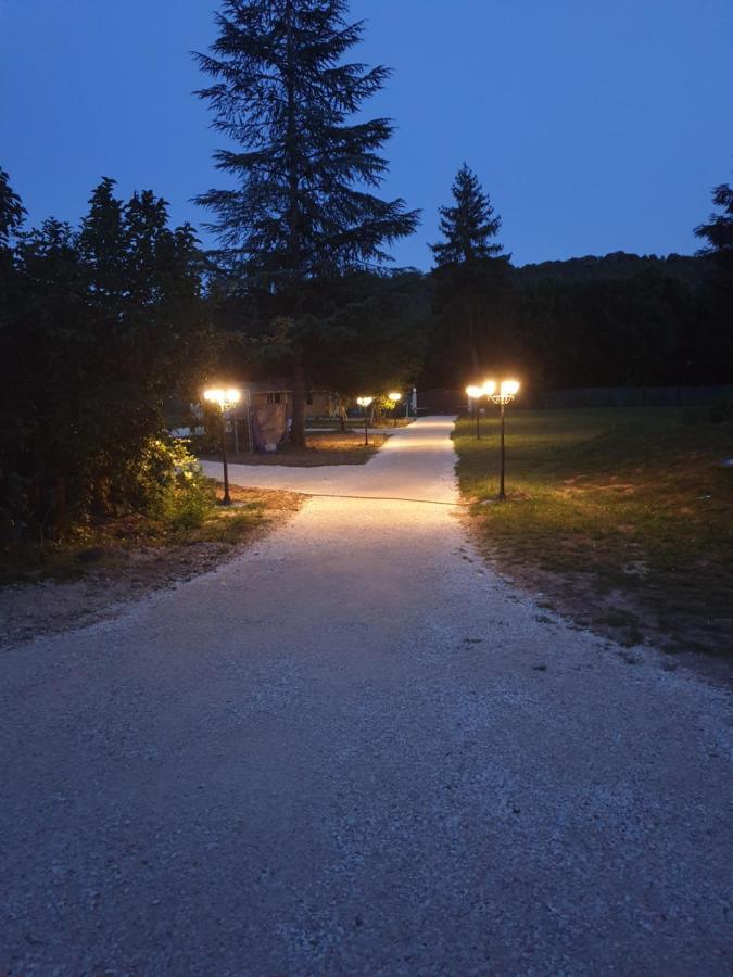 Domaine Mon Doux Reve Bed & Breakfast Terrasson-Lavilledieu Exterior photo