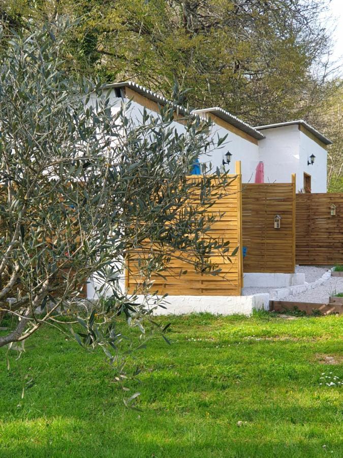 Domaine Mon Doux Reve Bed & Breakfast Terrasson-Lavilledieu Exterior photo